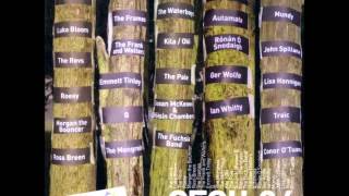 Bríd Óg Ní Mháille - The Corrs