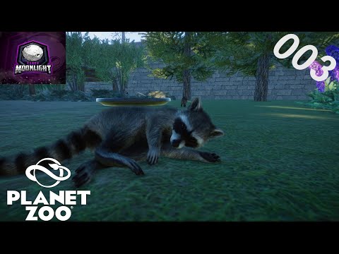 Planet Zoo 🦇 003 - Die Waschbären ziehen ein
