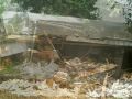 The Demolition Of Granny S House