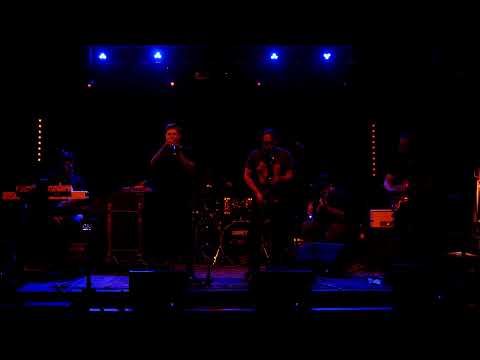 The Funky Knuckles LIVE @ The Acoustic 7/17/19