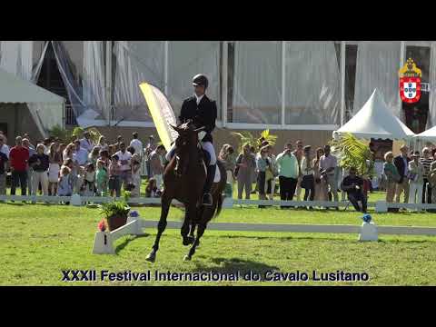 XXXII FIPSL - 210919 Modelos e Andamentos Classe V Cavalos inteiros com cinco ou mais anos anos