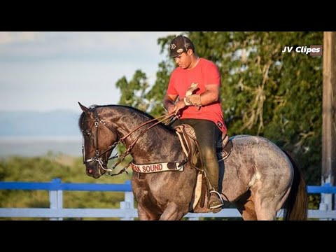 Pisadinha de Luxo - Só Eu Que Amei (Clipe Pisadinha) ft. Vitor Fernandes