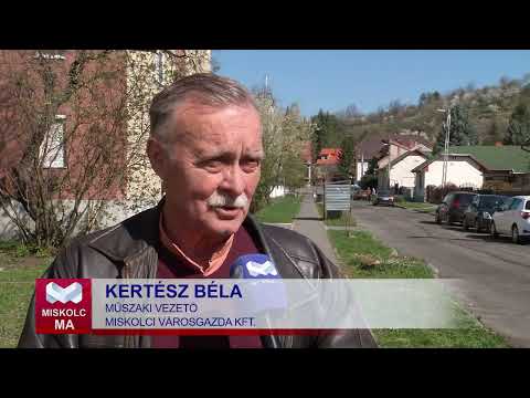 Videó előnézet