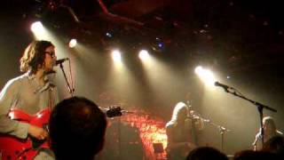 Elvis Perkins in Dearland - Shampoo