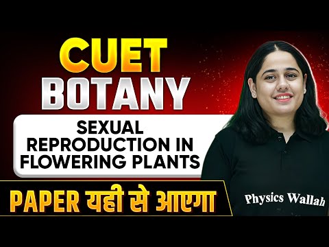 CUET 2024 Botany: Sexual Reproduction in Plants | Paper यही से आएगा !! 💯 | CUET Preparation 2024