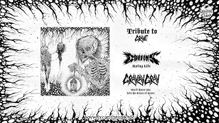 COFFINS / GRAVAVGRAV - &quot;A Tribute To Grave&quot; split-7&quot; (full EP)