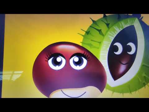 La castagna spinosetta 🧡🌼