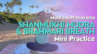 3 Minute Yoga Practice | Shanmukhi Mudra & Brahmari (Buzzing Bee) Breath