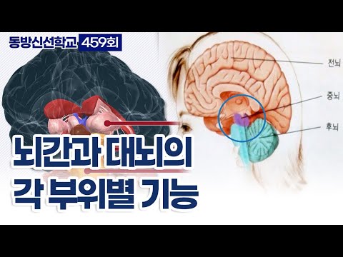 기초(숨) 수행과정