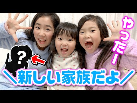 新しい家族がやってきた★ ルーレット くじびき でみんなで名前をつけよう ☆ はぴらき happy go lucky ☆