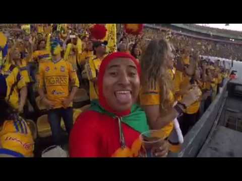 Tigres vs river plate