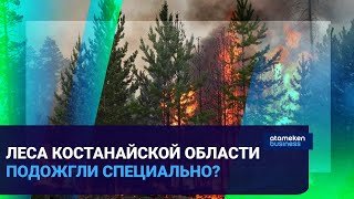 Леса Костанайской области подожгли специально?