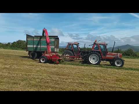 valentia island silage day 6th of august 1 of 3 fiat single chop old school zetor david brown kid