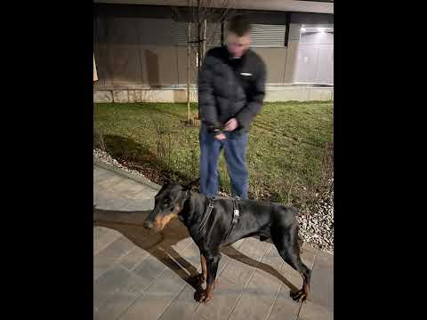 Old School Boom Bap Type Beat "System"