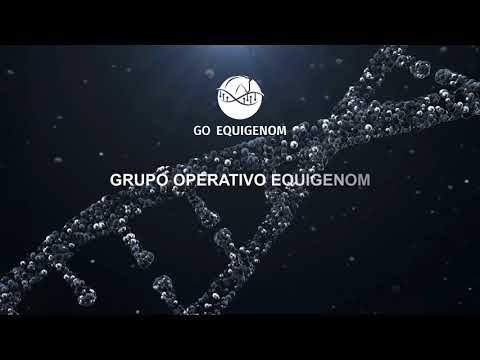 Presentación Grupo Operativo EQUIGENOM (ANCCE)