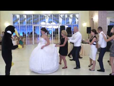 Vallja e pinguinit ne dasmat shqiptare.