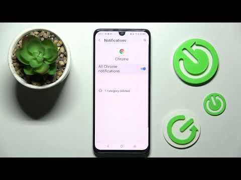 How to Turn On / Turn Off the App Notifications on the TCL 30