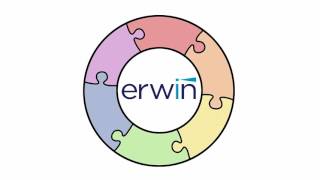 erwin Business Process YouTube Video