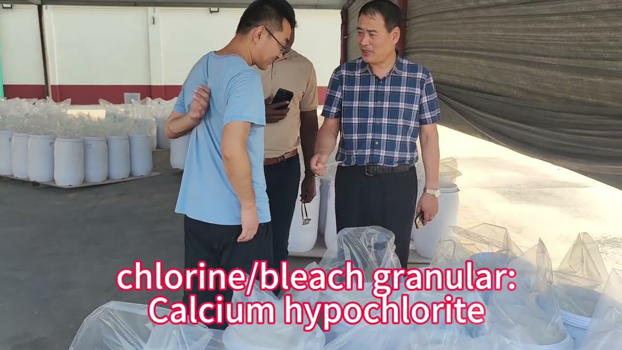 chlorine/bleach granular manufacturer -calcium hypochlorite 65% and 70%