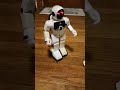 Silverlit: MaxiBot (Program-A-Bot)