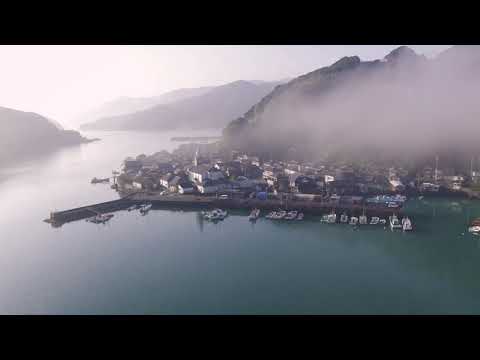 いろんな色がある島”天草”