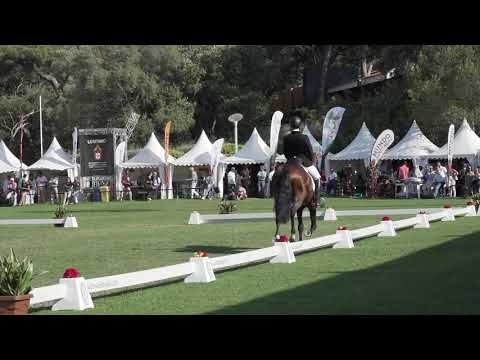 Latino das Faias no FICPSL 2019