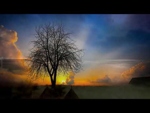 Sofrimento e resignação - Msg Espírita 11/04/2020