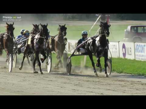 Velika nagrada Občine Križevci, spominska dirka Franca Zorka 2016