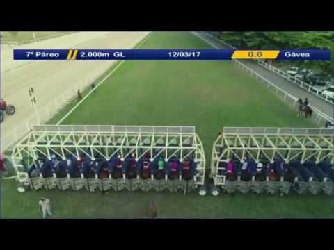 Excused Absence (BRZ) - 12 Mar 2017 - 17th GP Diana [G1]