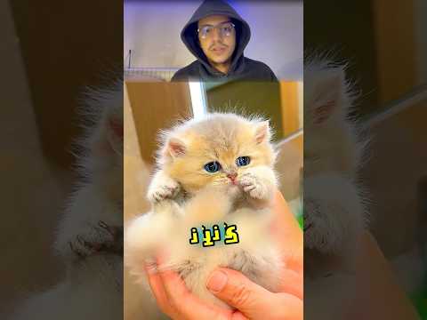 هالبس اخذ شاور للمرة الاولى فحياتو 🥹❤️ #shortvideo