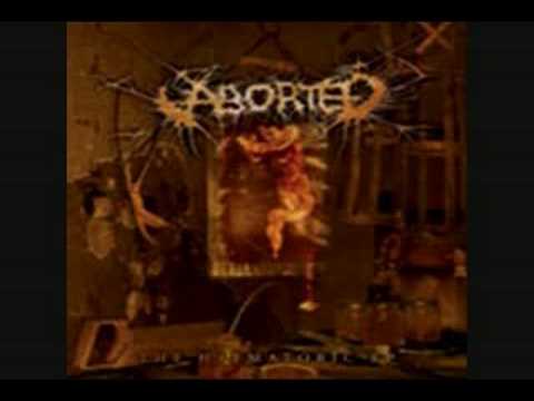 Aborted - Sanctification of Refornication