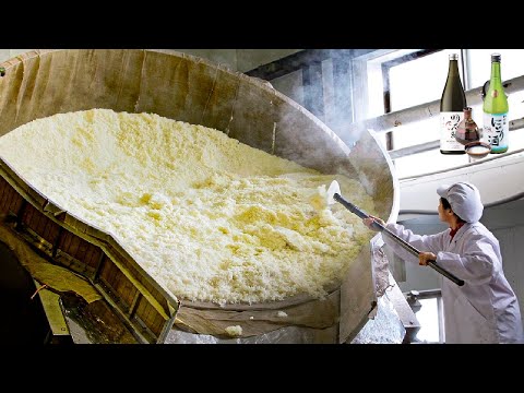 Why Japanese Sake Is So Expensive - How Japanese Traditional Sake Making in Factory - Sake Factory