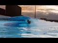 What The Pros Are Saying About Endless Surf S New Wave Pool Technology