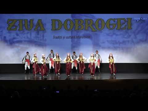 Ansamblul Fidanlar al Uniunii  Democrate Turce din România