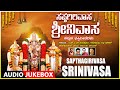 Sapthagirivasa Srinivasa SPB Rajkumar Bharathi Ramesh Chandra Narasimha Nayak Venkateshwara Songs