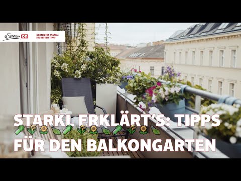 So gestaltet man einen Balkongarten! Garten-Tipps von Josef Starkl: Der Balkongarten!