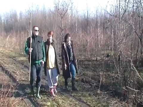 Bracko,Nada i Ferzada idu u Veliku Njivu