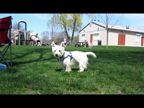 Oliver goes for a quick closeup