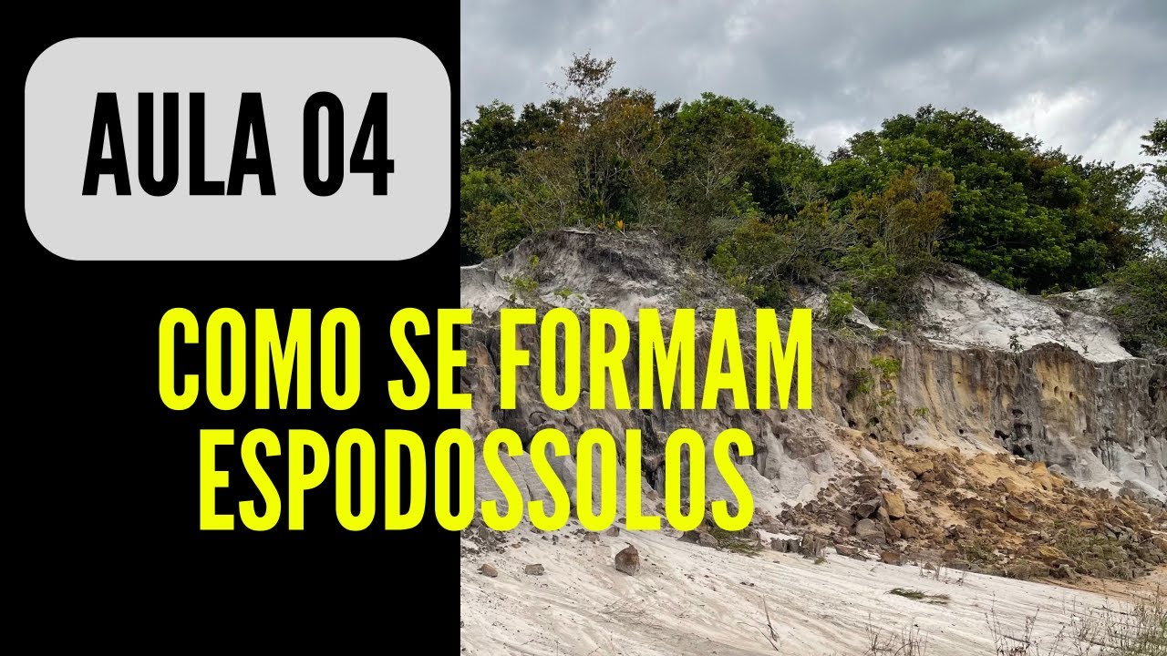 CONHEÇA A FORMAÇÃO DOS SOLOS COM HORIZONTE ESPÓDICO