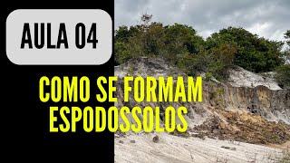 CONHEÇA A FORMAÇÃO DOS SOLOS COM HORIZONTE ESPÓDICO