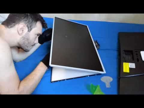 Tirando formiga de dentro do monitor