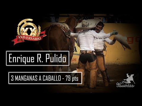 Millionaire THV 2017 - 3 Horse Sleeves - Enrique R Pulido
