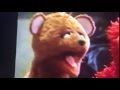 Baby Bear S Drowsy Eyelids