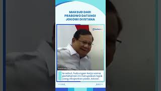 Maksud Prabowo Laporan ke Jokowi,  Sebut Indonesia Dihormati dan Jadi Panutan Banyak Negara