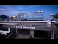 Inside PVS GROUP Corporate Culture Innovation In Animal Healthcare
