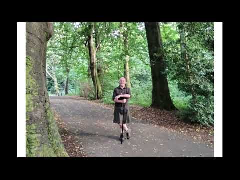 Vincent Paul Mcgrath - We Are All Minstrels - Misc Originals
