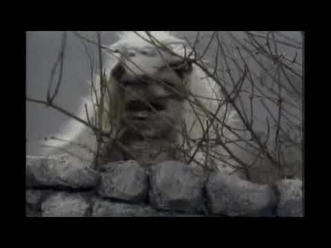 Muppet Songs: Muppet Sheep - The Whiffenpoof Song