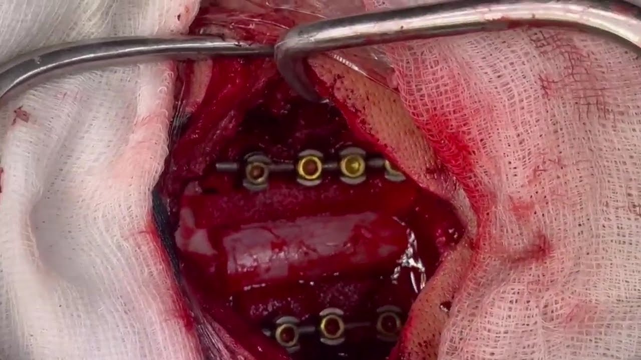 David Tafur Muñoz-2503