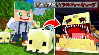 大型アプデで追加された新MOB「サルファーキューブ」の様子がおかしいマインクラフト...?!『都市伝説』【まいくら・Minecraft】よろずや🍭