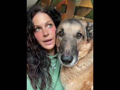 Chien qui imite son maître 🇺🇸